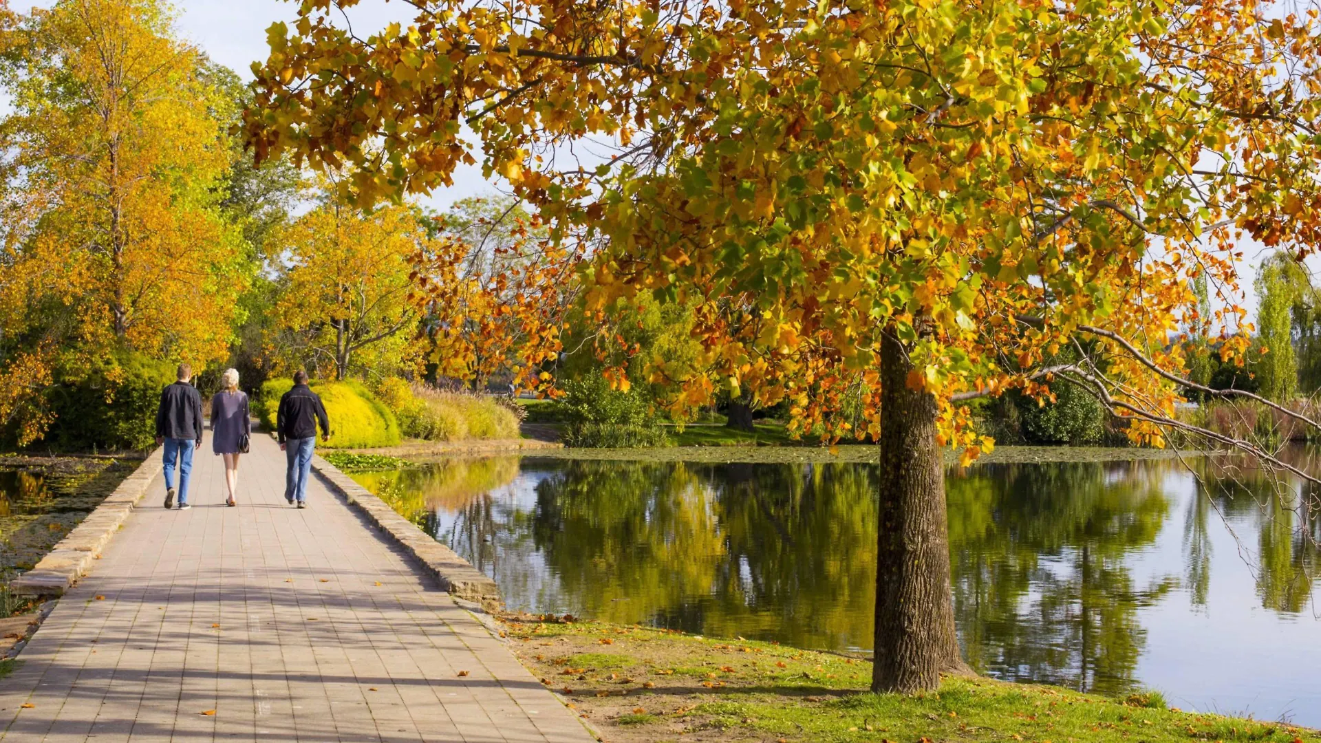 Отель Crowne Plaza Canberra By Ihg